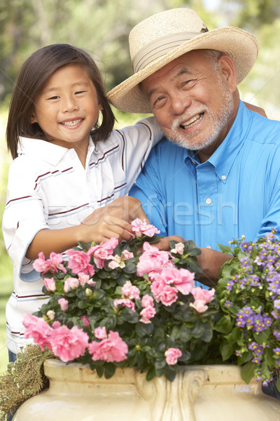 祖父 孫 ガーデニング 一緒に 子 庭園 ストックフォト © monkey_business