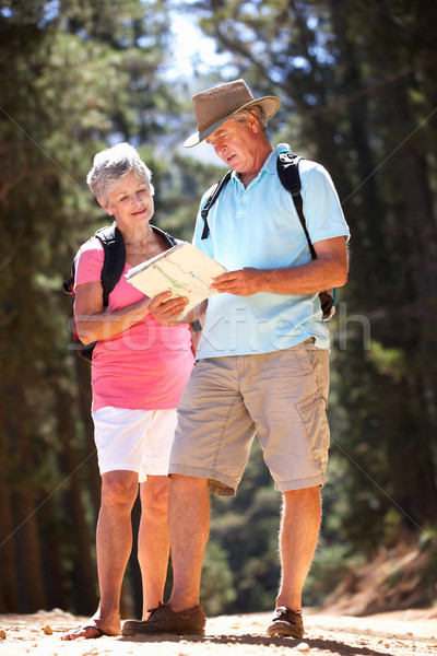 Senior couple reading map on country walk Stock photo © monkey_business