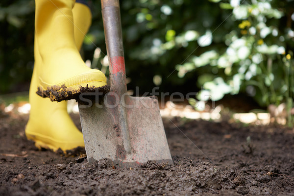 Személy kert férfi dolgozik női föld Stock fotó © monkey_business