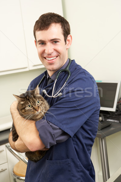 Male Veterinary Surgeon Holding Cat In Surgery Stock photo © monkey_business