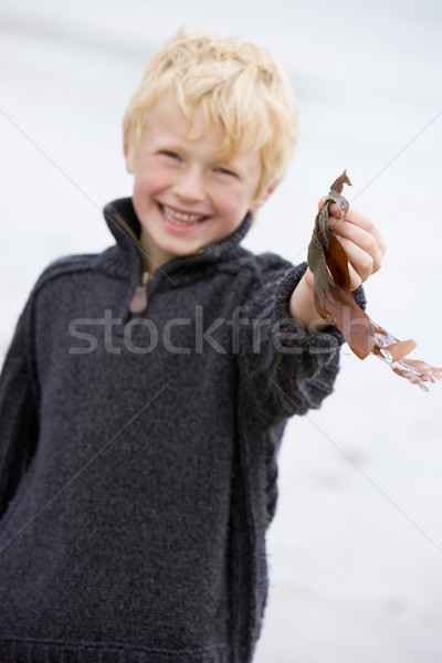 Stock fotó: Fiatal · srác · áll · tengerpart · tart · levelek · mosolyog