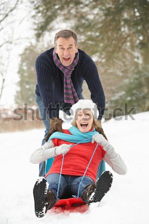 ストックフォト: 小さな · 家族 · 雪玉 · 戦う · 風景 · 女性