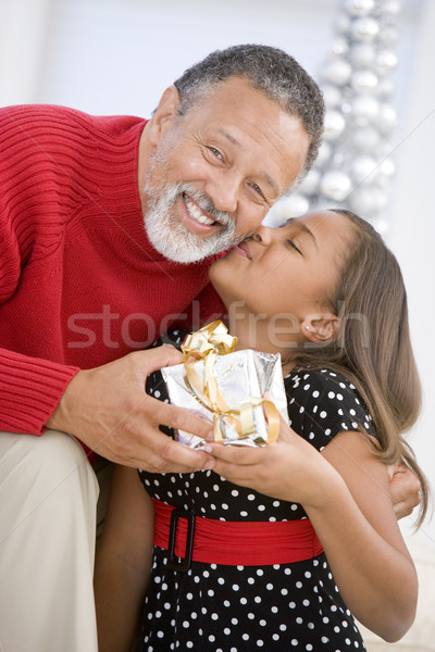 Grandfather Giving His Granddaughter A Christmas Present Stock photo © monkey_business