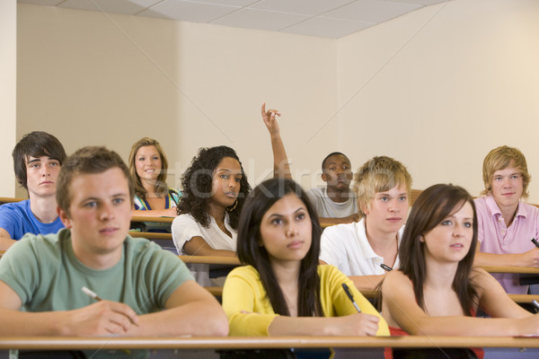 College student with hand raised in university lecture hall Stock photo © monkey_business