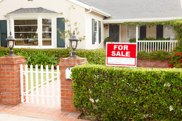 Stock photo: House for sale