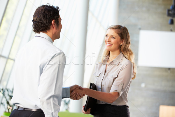 Businessman And Businesswoman Shaking Hands In Office Stock photo © monkey_business