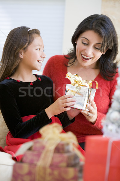 Fată surprinzator mamă Crăciun cadou femeie Imagine de stoc © monkey_business