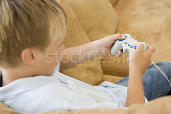 Young boy in living room with video game controller Stock photo © monkey_business