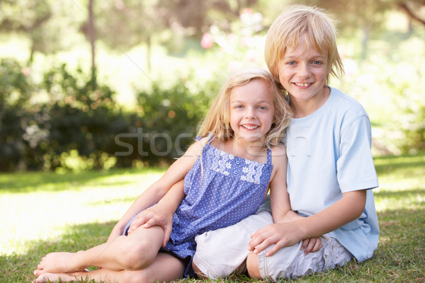 Bruder Schwester darstellen Park Kinder glücklich Stock foto © monkey_business