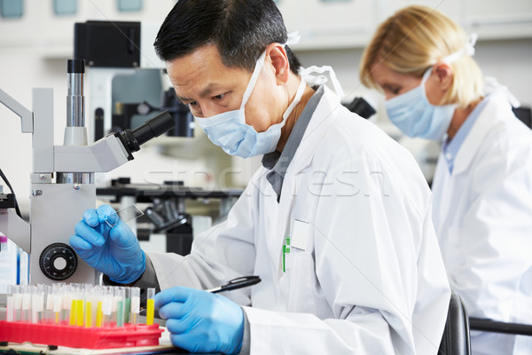 Male And Female Scientists Using Microscopes In Laboratory Stock photo © monkey_business