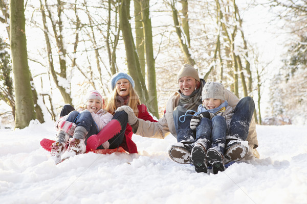 Famille fille homme hiver garçon [[stock_photo]] © monkey_business