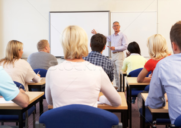 Senior onderwijs klasse vrouwen onderwijs Stockfoto © monkey_business