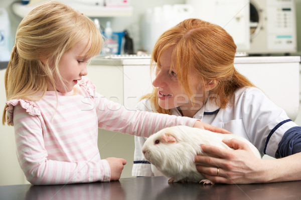 Female Veterinary Surgeon Examining Child's Guinea Pig In Surger Stock photo © monkey_business