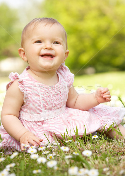 Baby Girl In Summer Dress Sitting In Field Stock photo © monkey_business