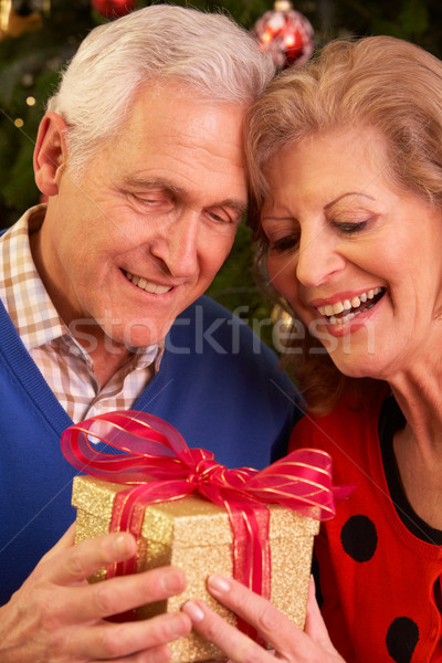 Senior Couple Exchanging Christmas Gifts Stock photo © monkey_business