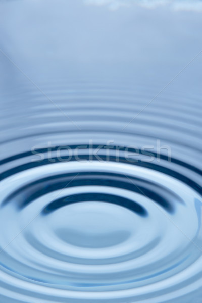 Konzentrischen Kreise Wasser Natur Energie Welle Stock foto © monkey_business