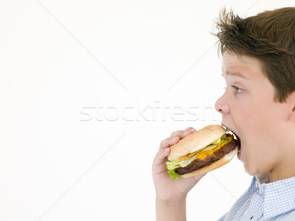 Młody chłopak jedzenie cheeseburger dzieci szczęśliwy chłopca Zdjęcia stock © monkey_business