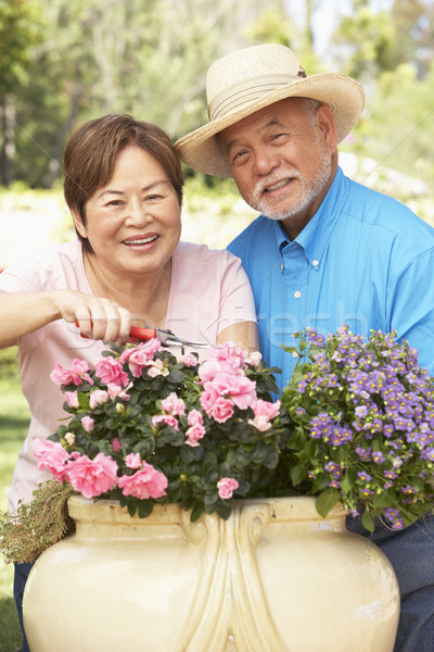 Senior Couple Gardening Together Stock photo © monkey_business