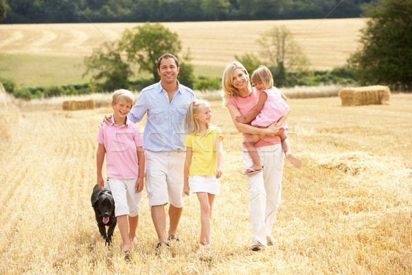 Family Walking Together Through Summer Harvested Field Stock photo © monkey_business