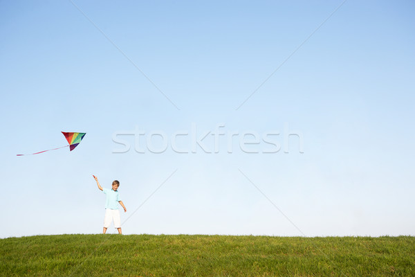 Młody chłopak pływające Kania dziedzinie niebo wiosną Zdjęcia stock © monkey_business