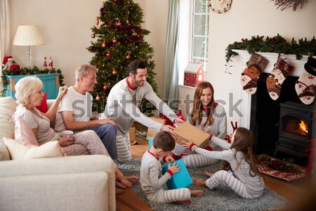 Hispanos familia Navidad compras línea ordenador Foto stock © monkey_business