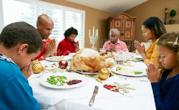 Többgenerációs család ünnepel karácsony étel család lány Stock fotó © monkey_business