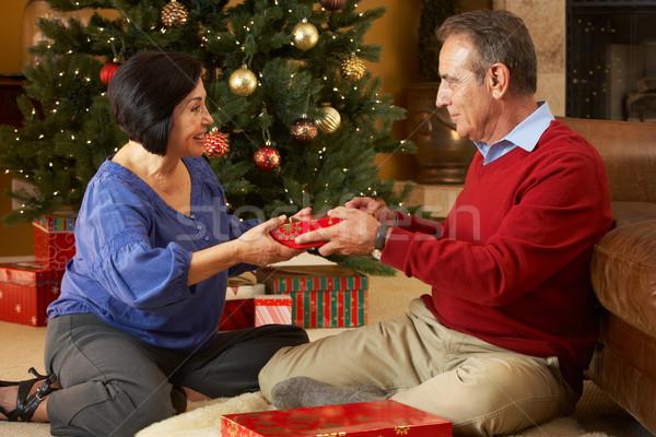 Senior Couple Exchanging Gifts In Front Of Christmas Tree Stock photo © monkey_business