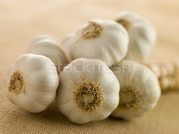 Bulbs of Garlic Stock photo © monkey_business