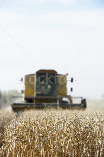 Combine Harvester Working In Field Stock photo © monkey_business