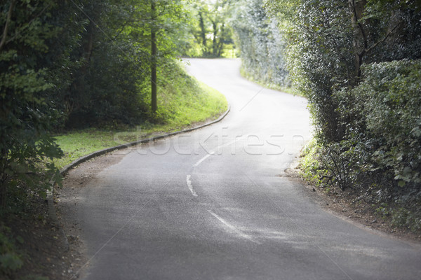 Winding Country Road Sided By Hedges Stock photo © monkey_business