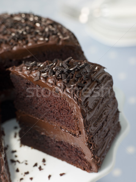 Slice Of Chocolate Fudge Cake Stock photo © monkey_business