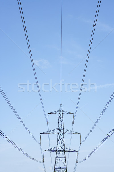 Stock photo: Electricity Pylons Against A Blue Sky