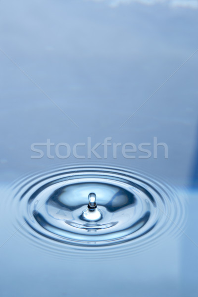 Concêntrico círculos água chuva energia onda Foto stock © monkey_business