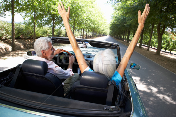 Senior couple in sports car Stock photo © monkey_business