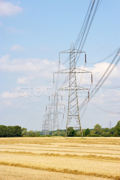 Electricity pylons in countryside Stock photo © monkey_business