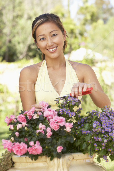 Young Woman Working In Garden Stock photo © monkey_business