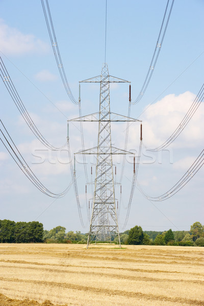 Electricity pylons in countryside Stock photo © monkey_business