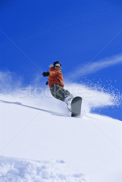 若い女性 スノーボード 冬 休日 休暇 カラー ストックフォト © monkey_business