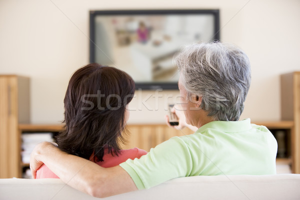 Para oglądanie telewizji pilota kobieta technologii salon Zdjęcia stock © monkey_business