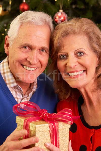 Senior Couple Exchanging Christmas Gifts Stock photo © monkey_business