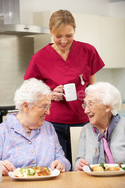 Foto stock: Senior · mulheres · cuidador · refeição · casa