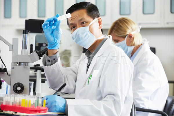 Male And Female Scientists Using Microscopes In Laboratory Stock photo © monkey_business