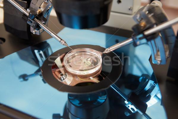 Laboratory Fertilization Of Eggs In IVF Treatment Stock photo © monkey_business