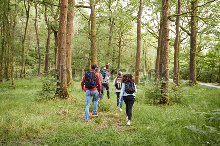 [[stock_photo]]: Jeunes · famille · extérieur · marche · parc · sourire