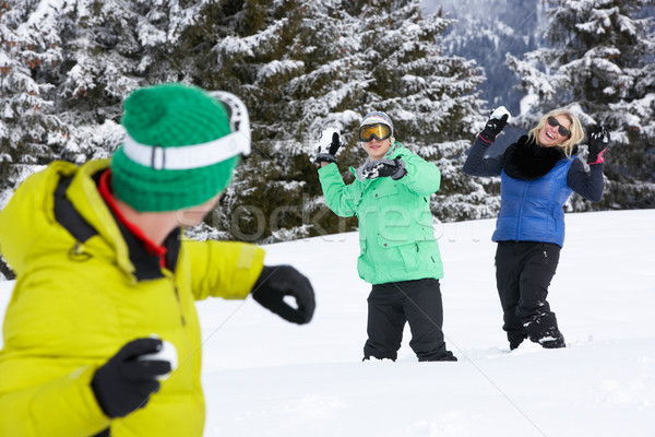 Grupo jovem amigos bola de neve lutar esquiar Foto stock © monkey_business