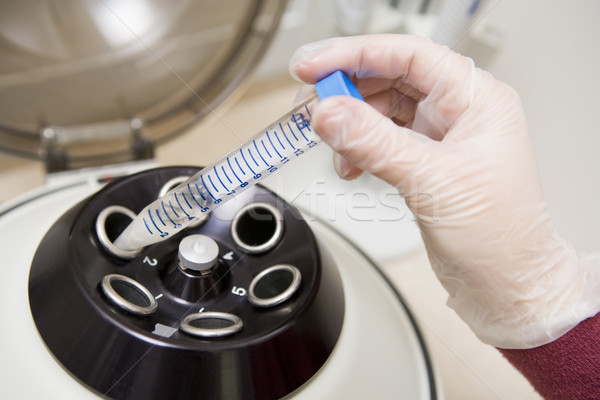 Embryologist putting sample into centrifuge Stock photo © monkey_business