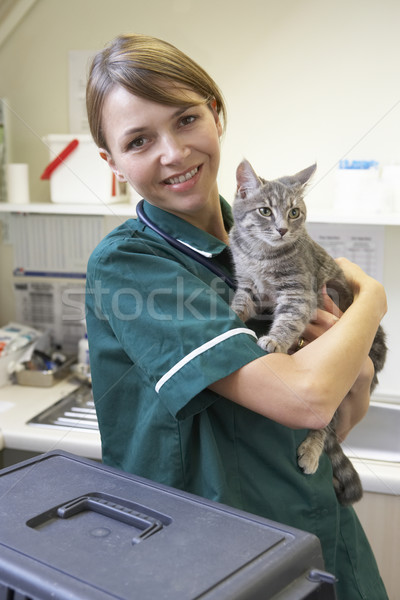 Tierarzt halten Katze Chirurgie Lächeln Porträt Stock foto © monkey_business