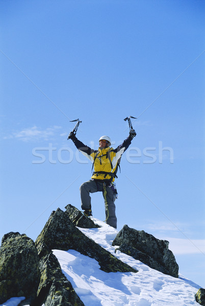 若い男 祝う 先頭 山 手 幸せ ストックフォト © monkey_business
