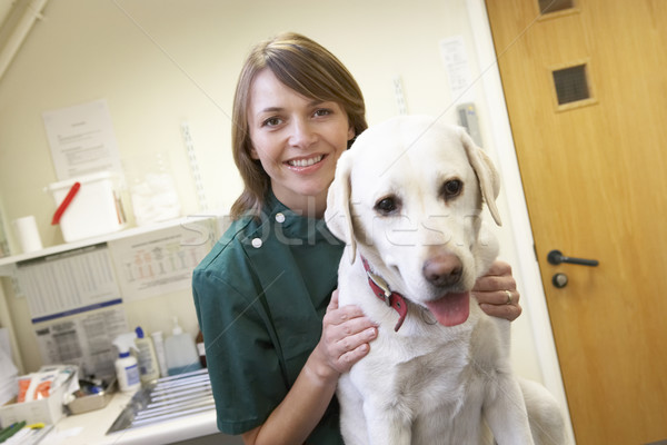 Veterinario perro cirugía sonrisa retrato femenino Foto stock © monkey_business