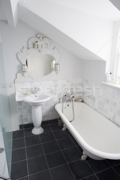 üres fürdőszoba otthon szoba gyönyörű modern Stock fotó © monkey_business